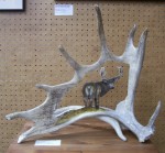 Kristin - moose antler carving